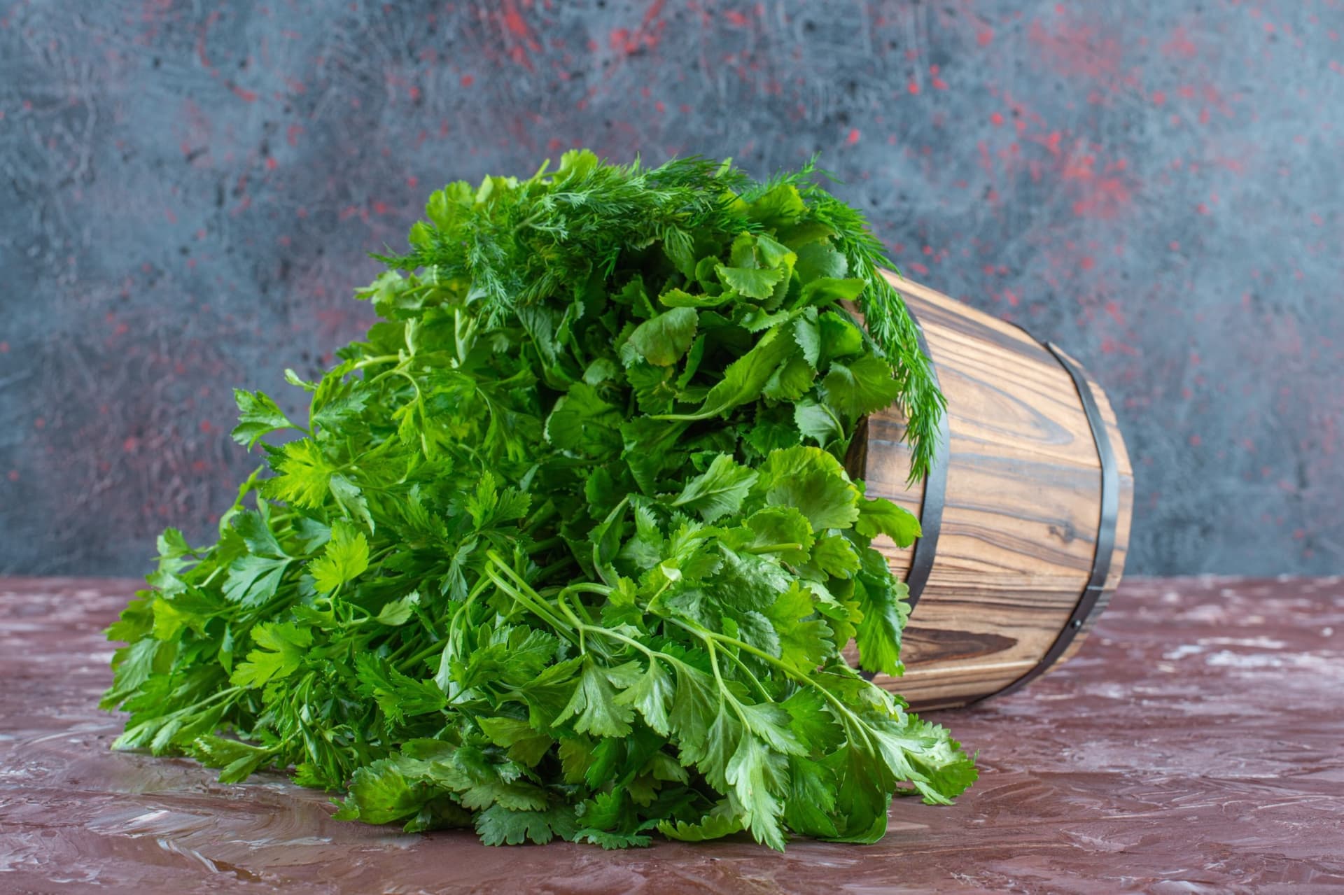CORIANDER