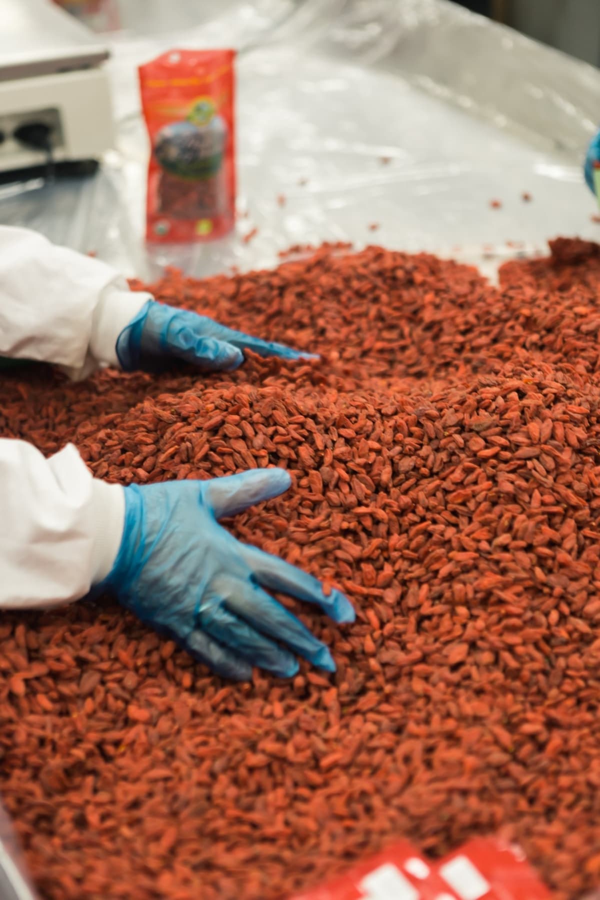 Spice Processing